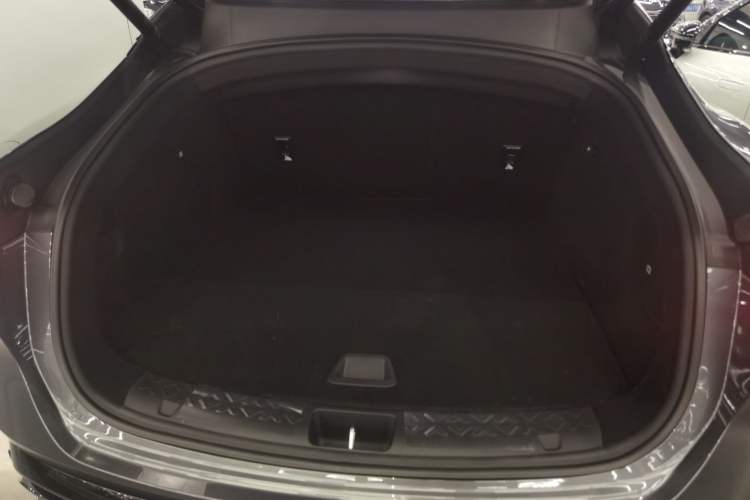 Used  06 2025 Max All-Electric Version
