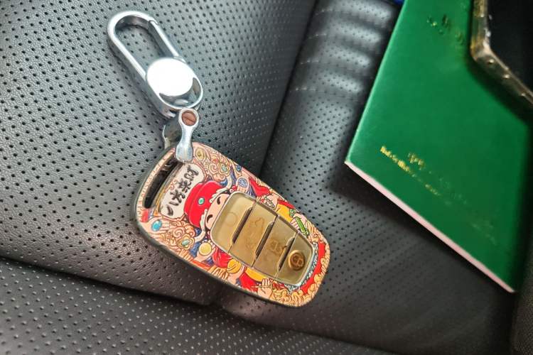 Used Hongqi H9 2020 2.0T Smart Connect Flagship Edition