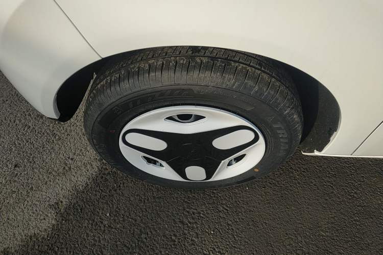 Used  Panda 2025 210 km – Yuanqi Bear
