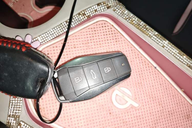 Used SOL E10X 2022 Flower Fairy Style Baby's Breath