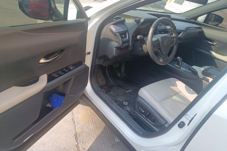 Used Lexus UX New Energy 2020 300e Pure·Joy Edition