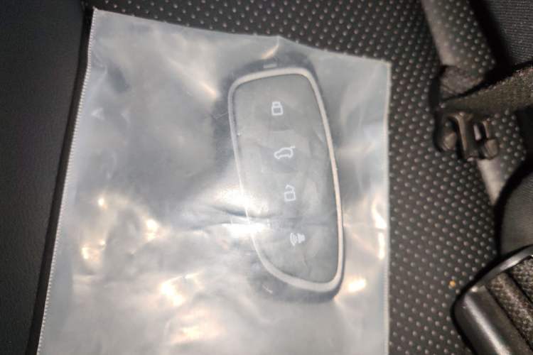 Used Haval  2024 Hi4 102km Trend Electric Version Plus
