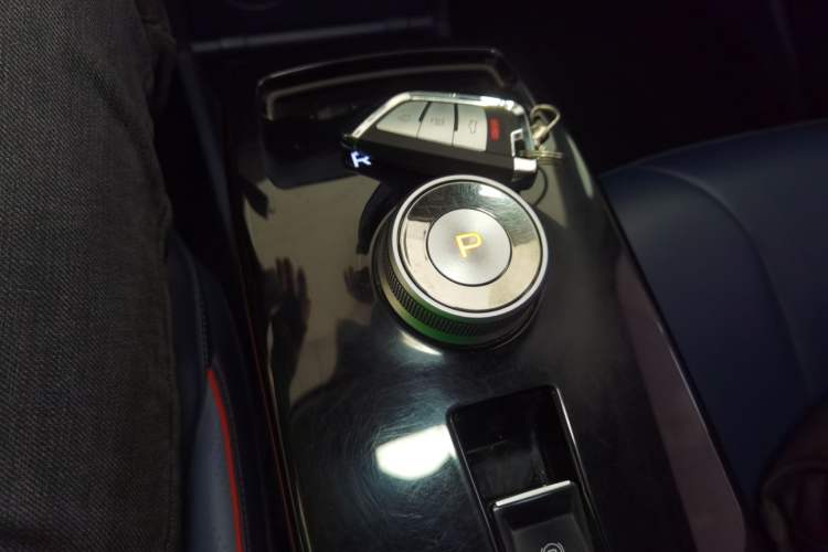 Used Geometry E Firefly 2022 401 km Linglong Tiger 4 Seats
