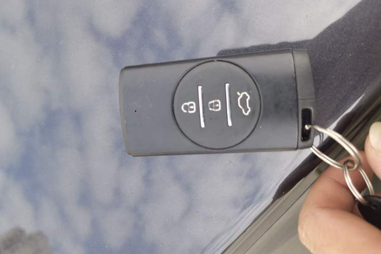 Used  Lingyun 2021 290T Two-Wheel Drive Starry Edition
