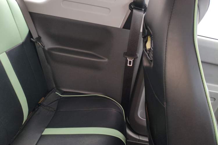 Used  Panda 2023 Panda Mini 200km Endurance Bear
