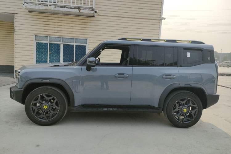 Used  Shanhai T2 2024 C-DM 208KM Mountain & Wilderness Edition
