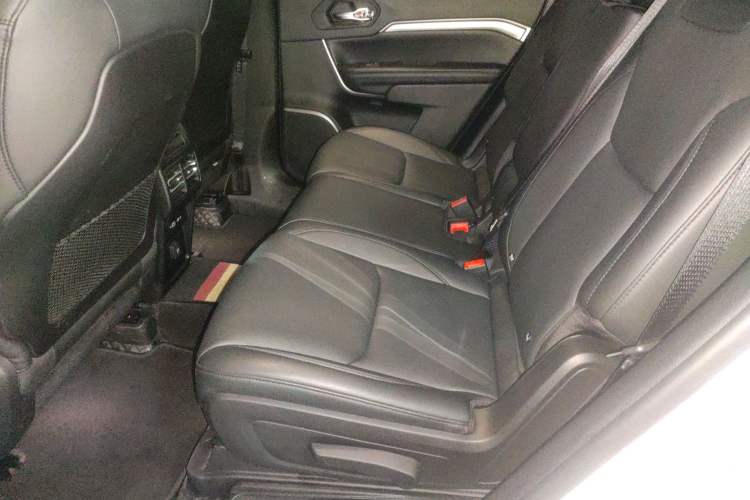 Used  Grand Commander 2022 2.0T Two-Wheel Drive Elite Version
