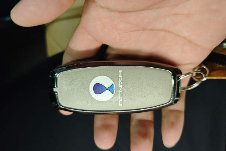 Used Denza D9 2024 DM-i 980 Four-Wheel Drive Flagship Model
