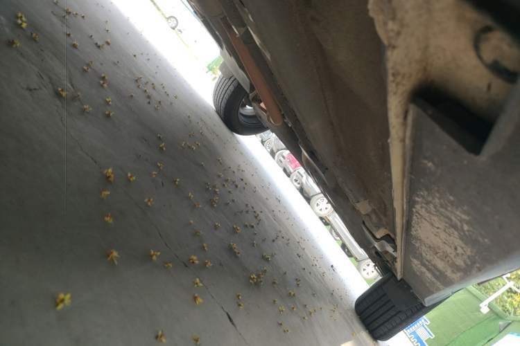 Used Hyundai ix25 2015 1.6L Automatic Two-Wheel Drive Fashionable GS Model
