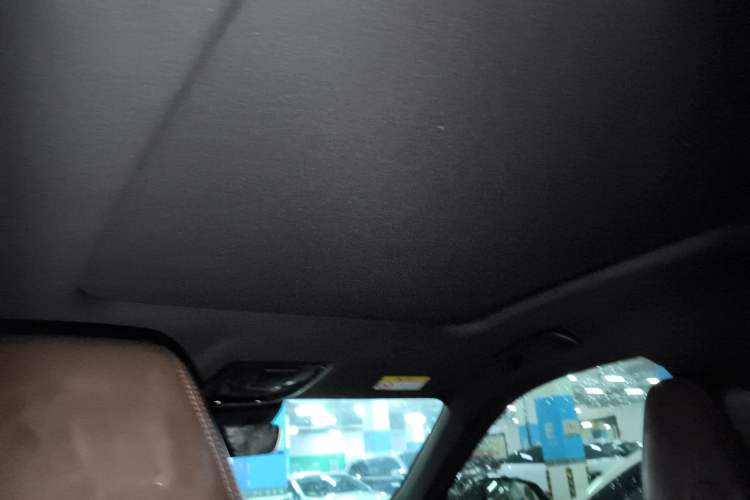 Used Wey Mocha 2021 2.0T Two-Wheel-Drive Ultra-Strong Version
