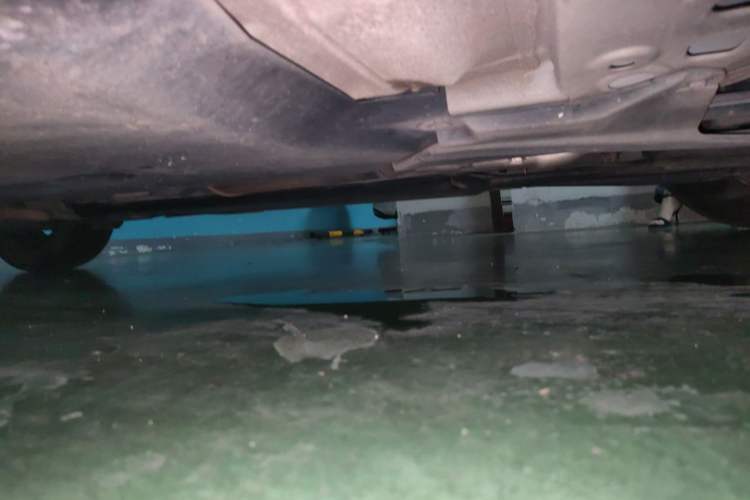 Used Nissan Sylphy 2022 1.6L XL CVT Enjoyment Edition