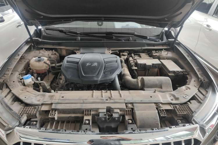 Used Hongqi HS5 2019 2.0T Smart Connect Flagship All-Wheel-Drive Version