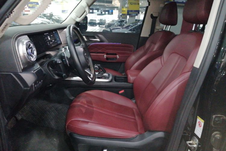 Used Tank 300 2024 2.0T Conqueror