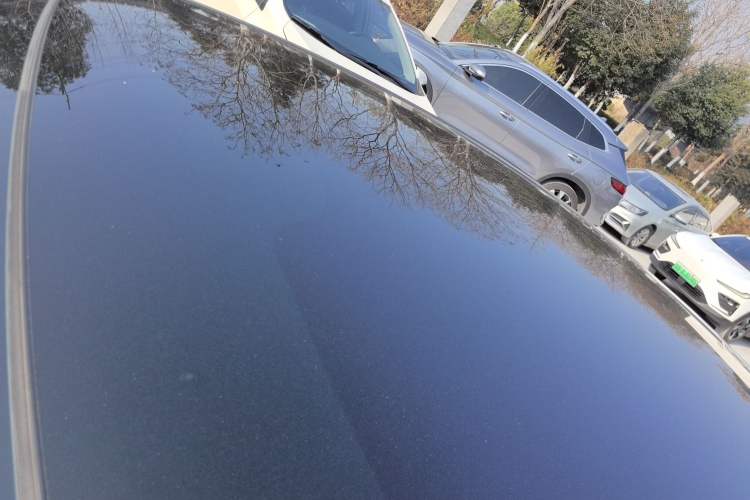 Used  SL03 2023 515MAX Pure Electric Version
