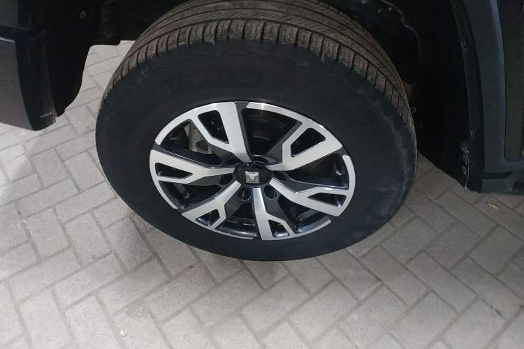 Used Tank 300 2021 City Edition 2.0T—Truly Stylish