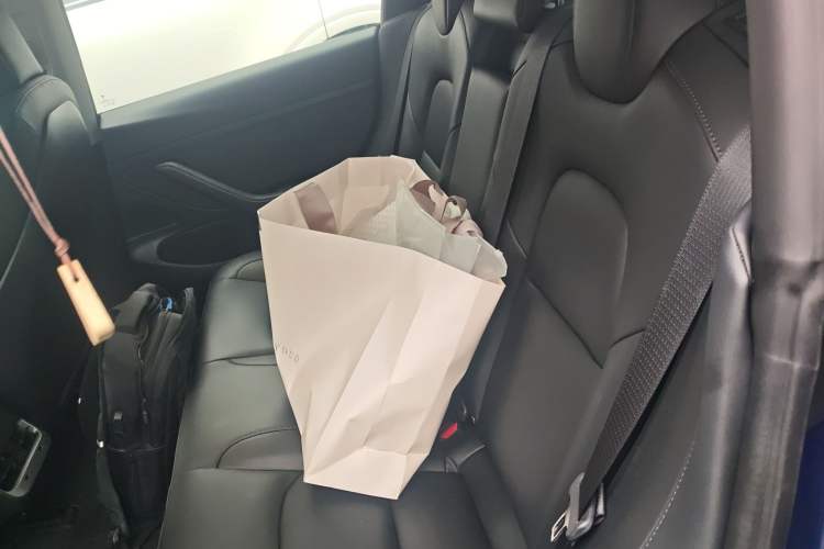 Used Tesla Model 3 2019 Standard Range Rear-Drive Upgraded Version