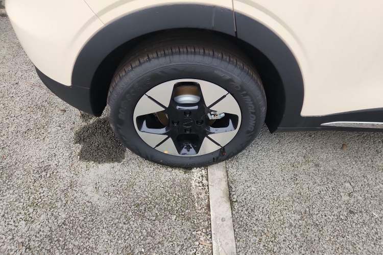 Used  Geome 2025 310km Dream Edition