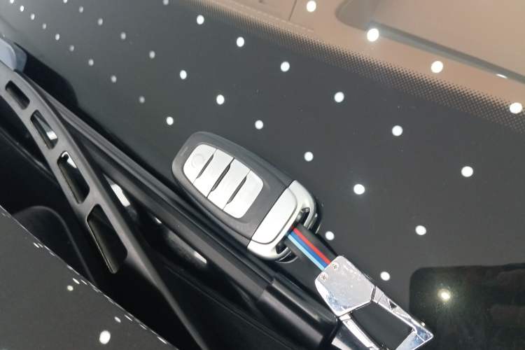 Used Hongqi H9 2020 2.0T Smart Connect Flagship Edition
