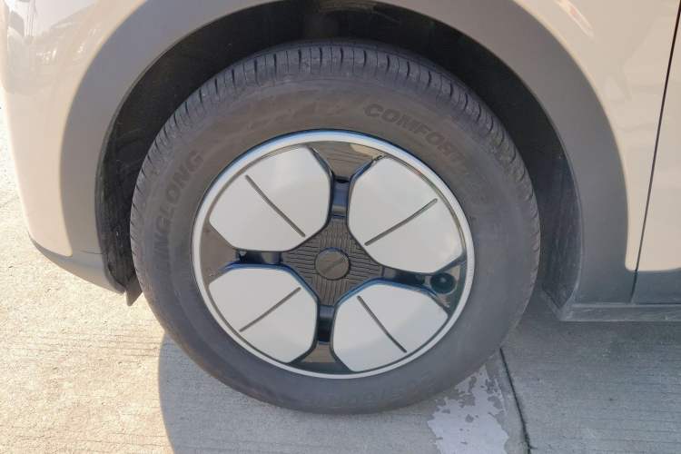 Used  Geome 2025 310km Youth Edition