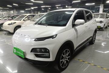 Used Dayun Yuehu 2021 32.85 kWh Two-Wheel-Drive Sprite Version