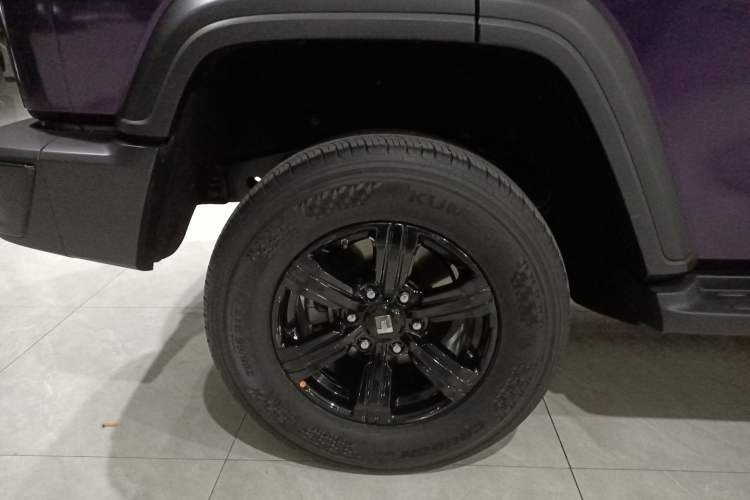 Used Tank 300 2024 2.0T Conqueror