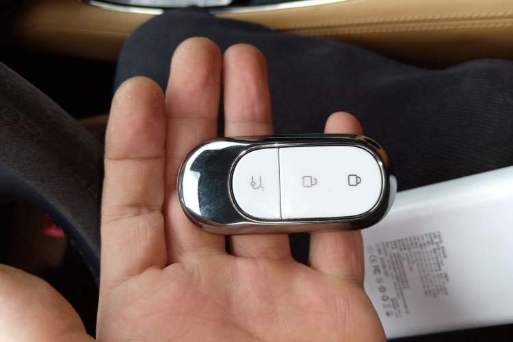 Used Leapmotor C11 2024 Range-Extended 300 Luxury Edition
