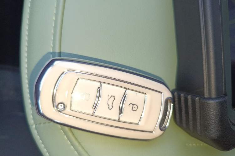 Used  Panda 2024 200km Panda Rider