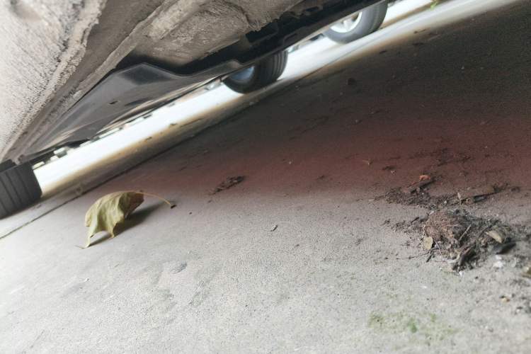 Used Volkswagen Lamando 2017 280TSI DSG Luxury Edition
