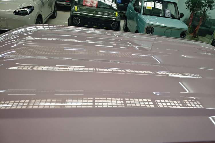 Used  Panda 2024 Panda Mini 200km Endurance Bear
