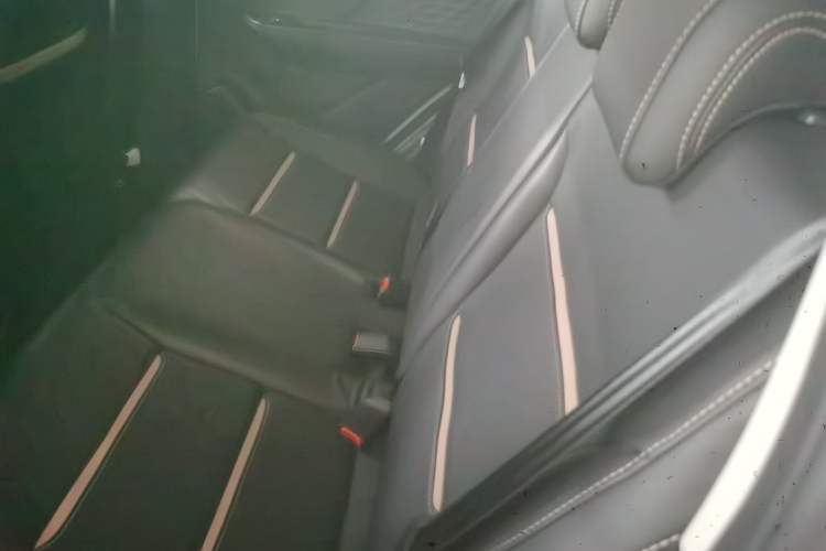 Used SOL E10X 2022 Flower Fairy Design Four-Leaf Clover
