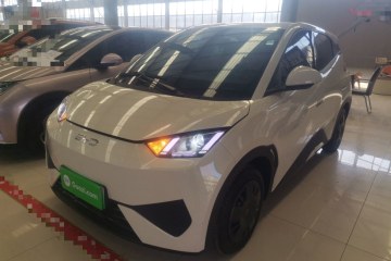 Used BYD Seagull 2025 Intelligent Driving Version 305 km Dynamic Edition