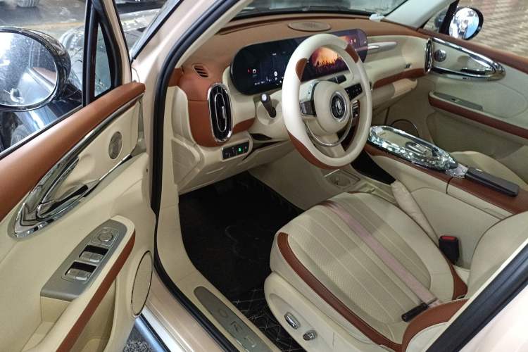 Used ORA Ballet Cat 2023 401 km Luxury Version