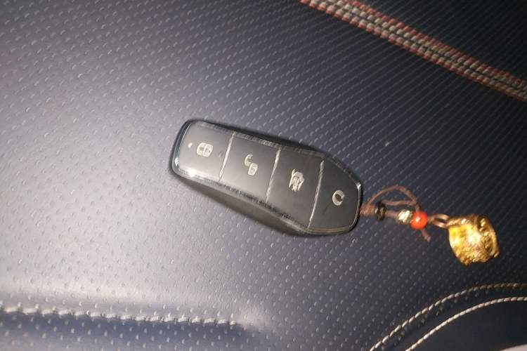 Used BYD Qin PLUS 2023 Champion Edition DM-i 55KM Leading Model
