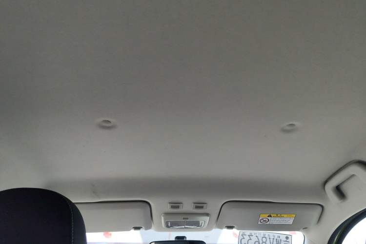 Used ORA Black Cat 2019 301km Standard Edition