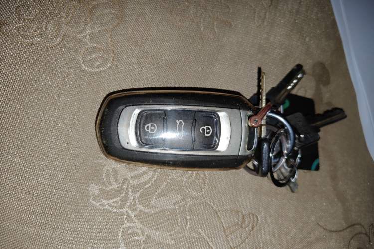 Used Geely Galaxy Panda 2024 Panda Mini 200km Endurance Bear