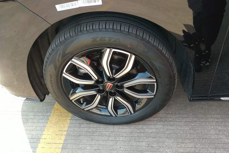 Used Hongqi HQ9 2023 2.0T Smart Connect Flagship Edition
