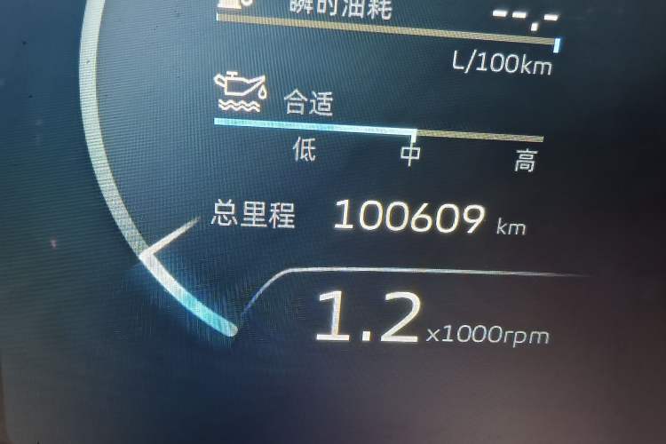 Used Geely Auto Monjaro L 2021 2.0TD DCT EVO Two-Wheel Drive Prestige Version