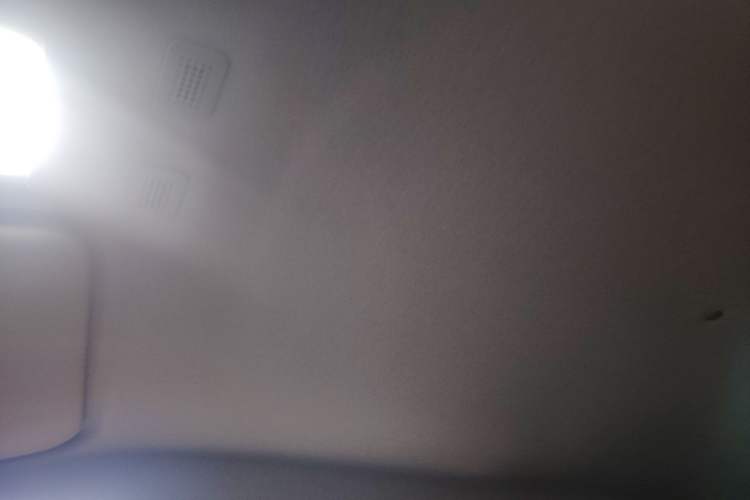 Used  Panda 2023 Panda Mini 200km Endurance Bear
