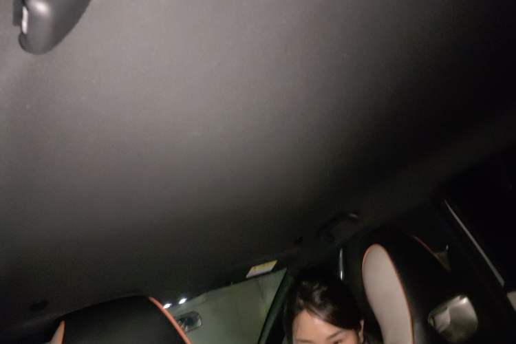 Used BYD Dolphin 2021 405 km Free Version
