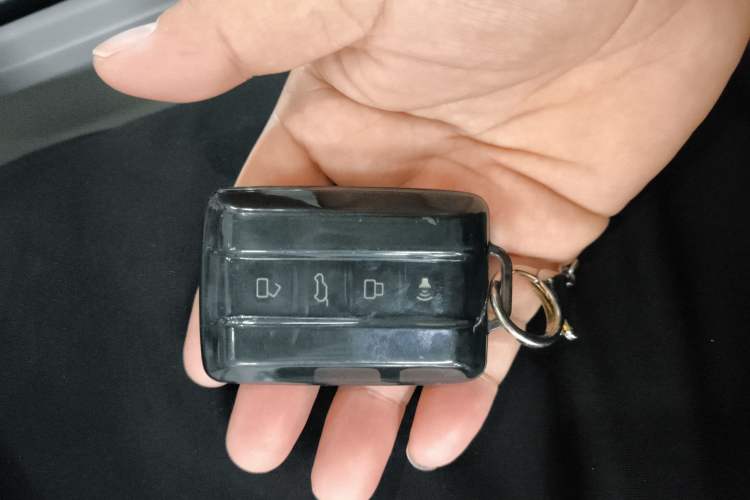 Used  Tank 300 2021 2.0T Cyber Tank