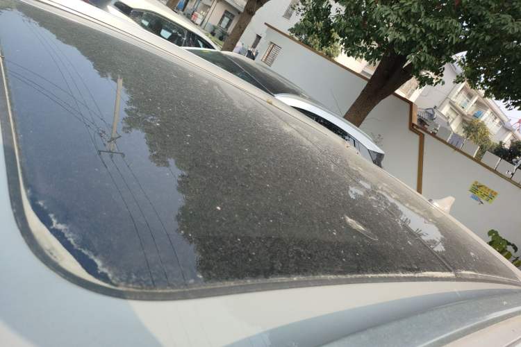 Used BYD Sealion 05 DM-i 2025 DM-i Smart Drive 115KM Flagship Model