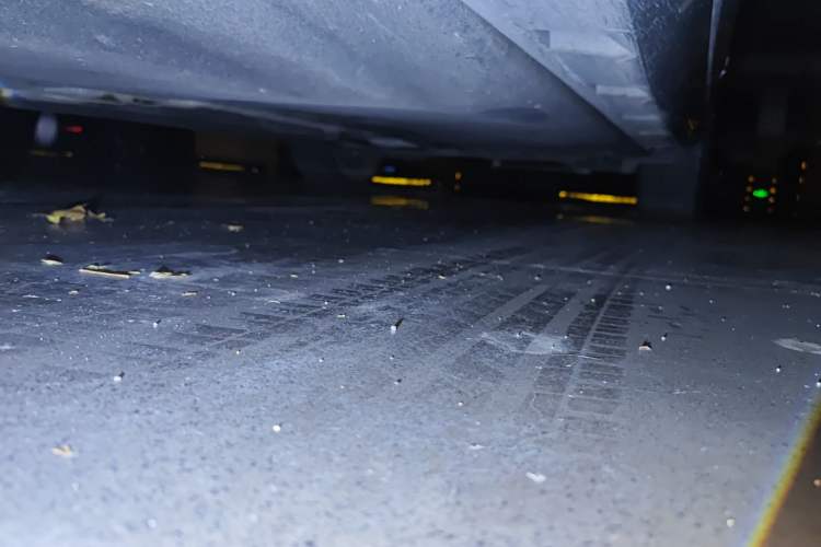 Used Volkswagen Magotan 2019 330TSI DSG Luxury Model China V Standard
