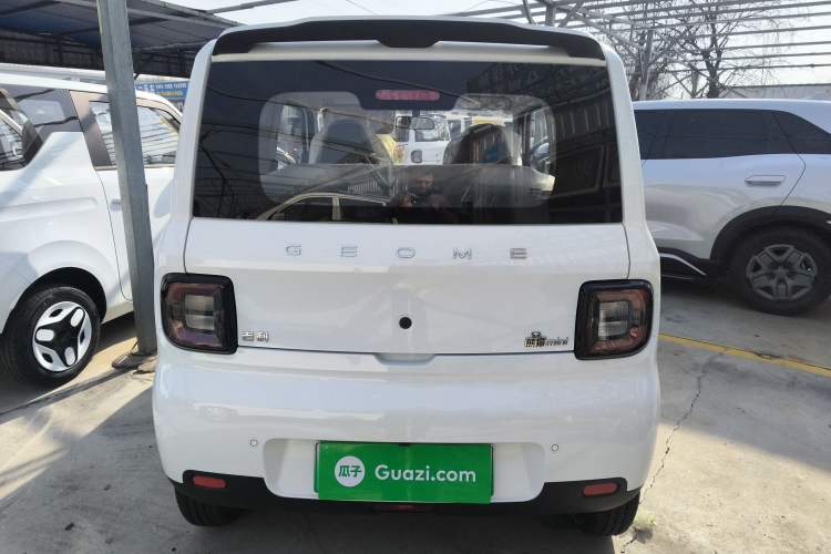 Used  Panda 2025 210 km – Yuanqi Bear
