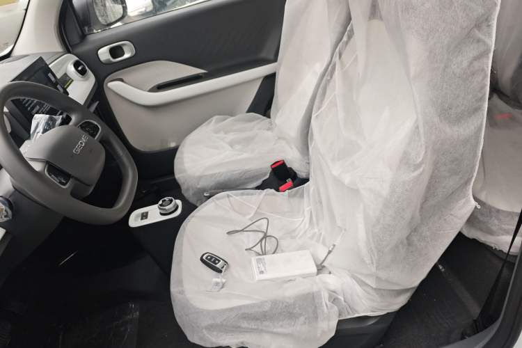 Used  Panda 2025 210 km – Yuanqi Bear
