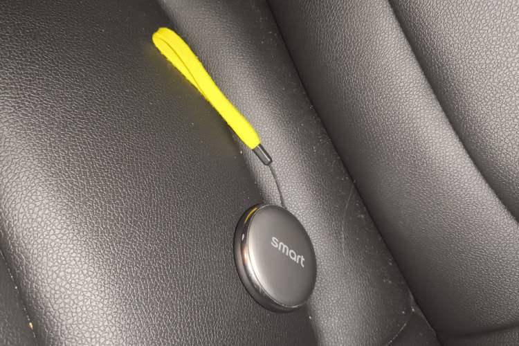 Used  #1 2023 Pro Edition