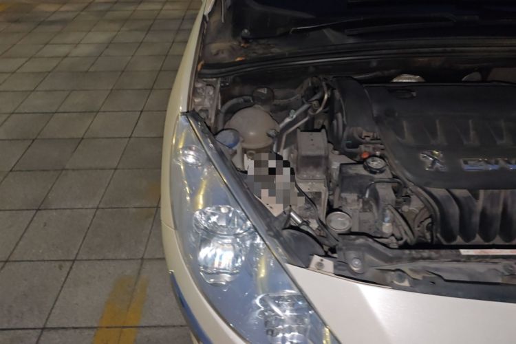 Used Peugeot 408 2013 2.0L Automatic Comfort Edition
