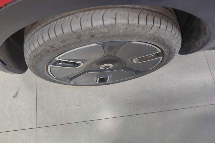 Used  #1 2022 Premium Edition
