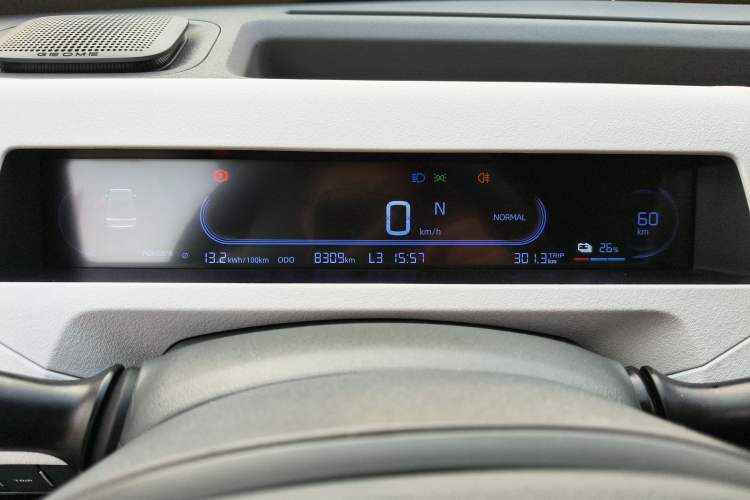 Used  Panda 2024 Panda Mini 200km Endurance Bear