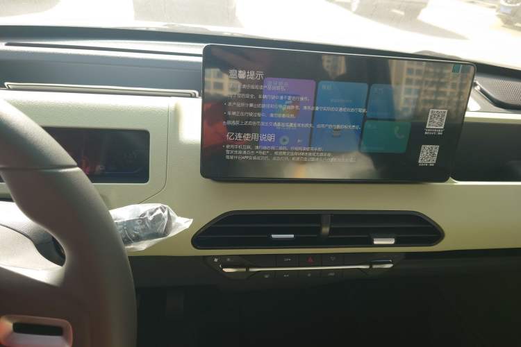 Used  Panda 2024 Panda Mini 200km Endurance Bear
