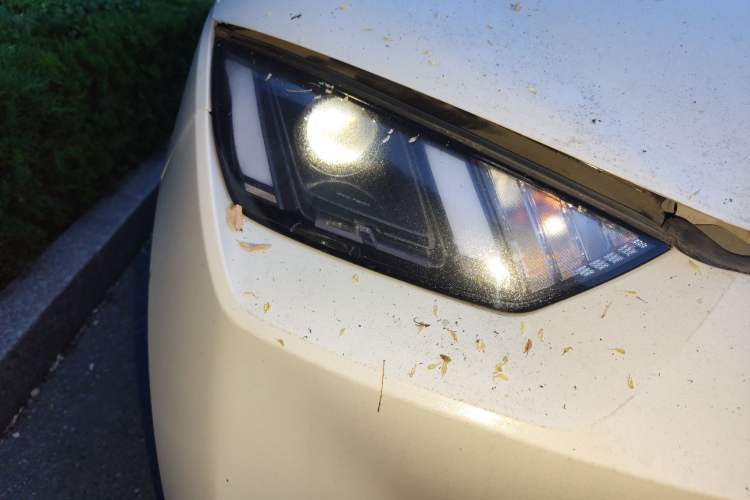 Used BYD Seagull 2025 305km Active Version
